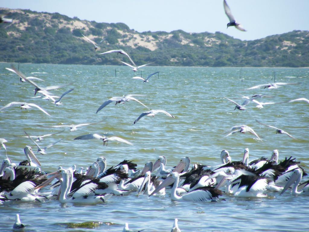 Coorong Waterfront Retreat Villa Meningie Exterior photo